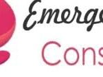 Emerge Egress Consulting